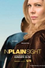 Watch In Plain Sight 1channel